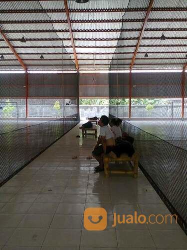 Jaring Pagar Lapangan Futsal