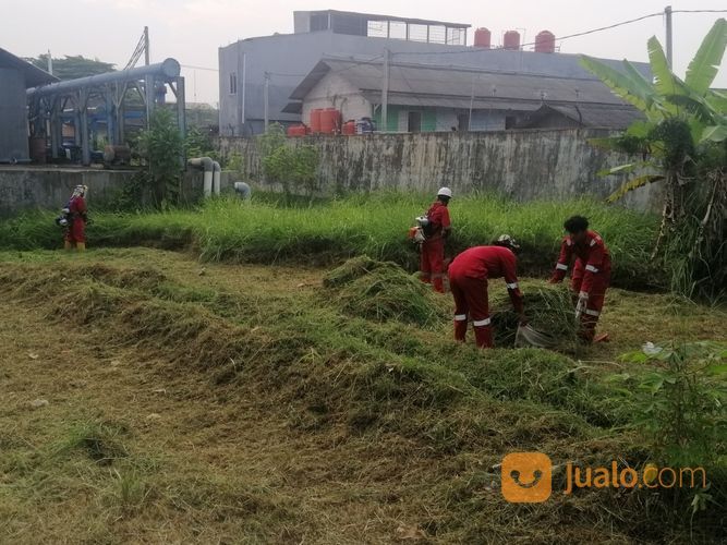 Jasa Potong Rumput Panggilan Di Serang Cilegon
