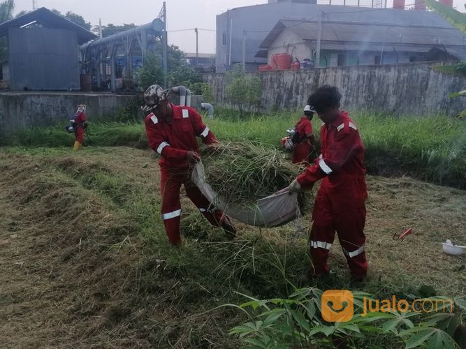 Jasa Potong Rumput Panggilan Di Serang Cilegon