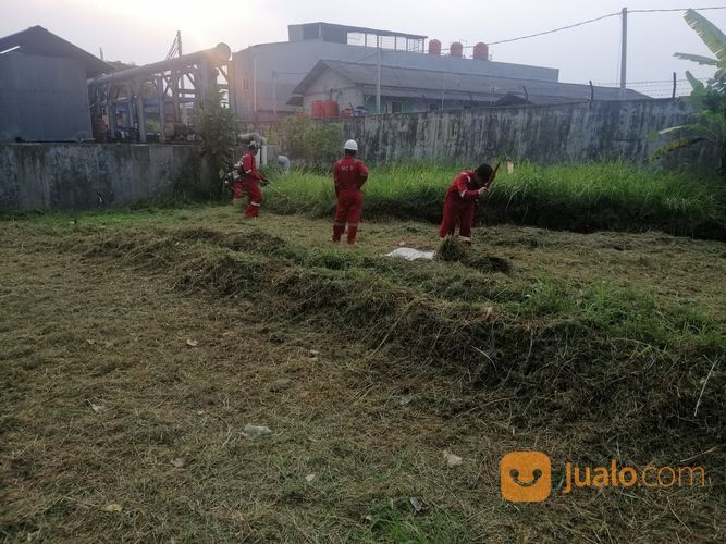 Jasa Potong Rumput Panggilan Di Serang Cilegon