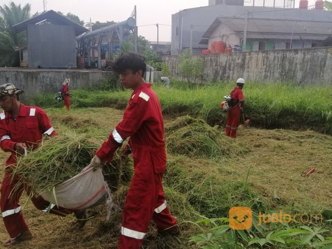 Jasa Potong Rumput Panggilan Di Serang Cilegon