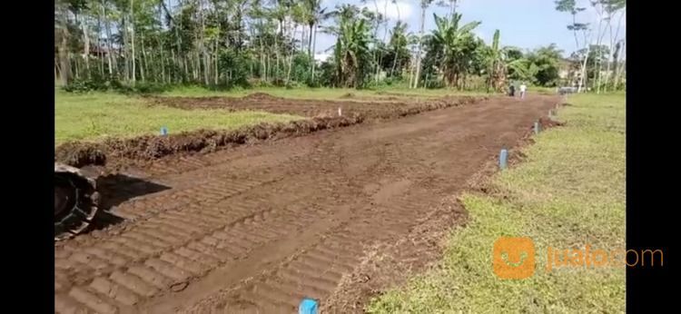 Tanah Kavling Perbatasan Turen Sudimoro