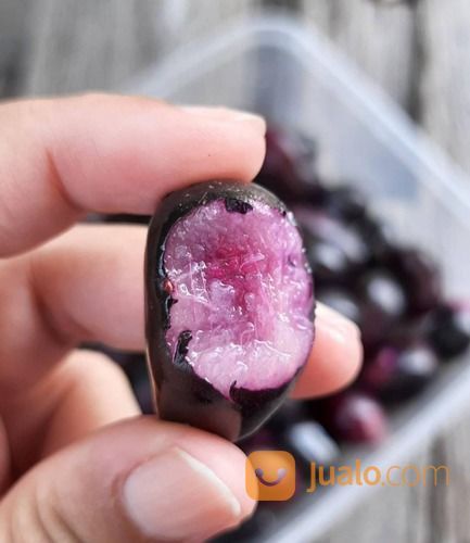 Bibit Tanaman Duwet / jamblang Hitam - Langka - Berbuah Lebat - Harga Nego