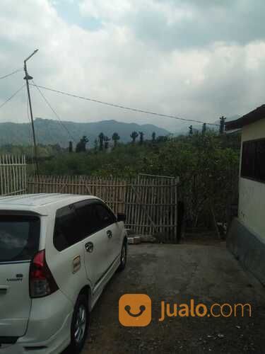 Kebun Apel Di Batu Cocok Untuk Tempat Wisata