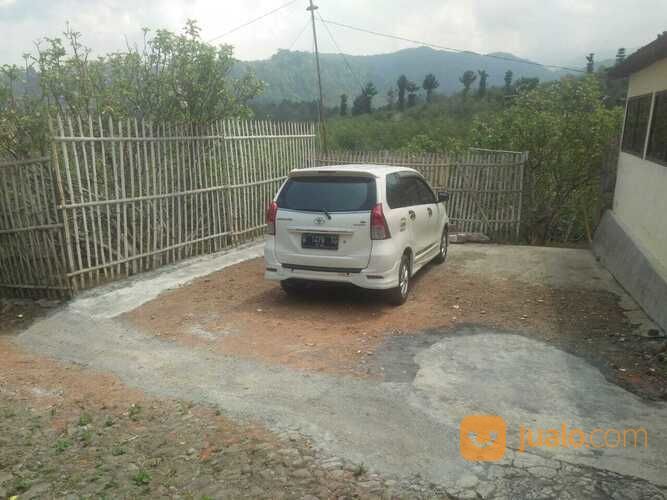 Kebun Apel Di Batu Cocok Untuk Tempat Wisata