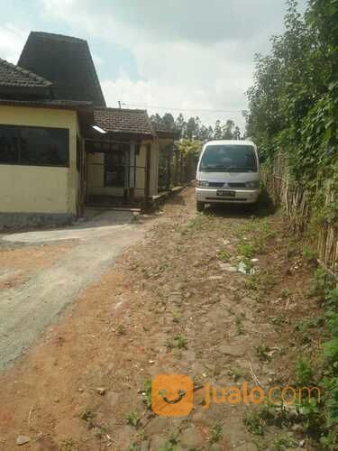 Kebun Apel Di Batu Cocok Untuk Tempat Wisata