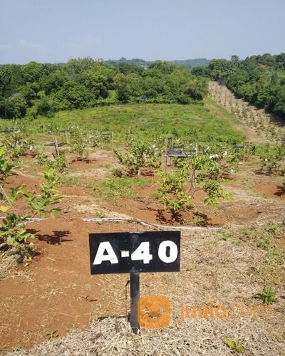 Taman Tahfidz Firdaus Investasi Masa Depan Kita