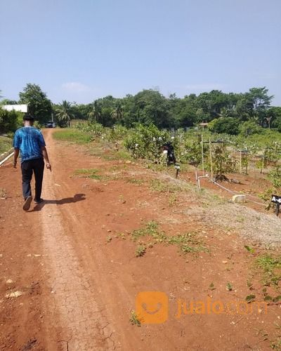 Taman Tahfidz Firdaus Investasi Masa Depan Kita