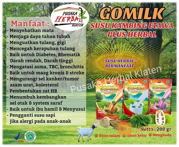 Susu Kambing Etawa Gomilk Plus Herbal Daun Kelor-Daun Salam-Mengkudu