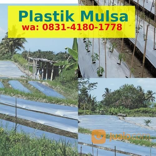 Promo Mulsa Plastik Terdekat