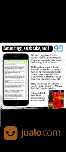 British Propolis //0895605298912