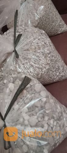 Bigar Bambu Kapur Buluh