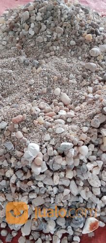 Bigar Bambu Kapur Buluh