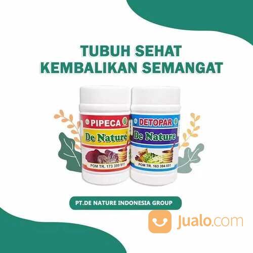 Obat Herbal Paru Paru - Batuk Asma Sesak Nafas Tbc Paling Ampuh Di Apotik De Nature