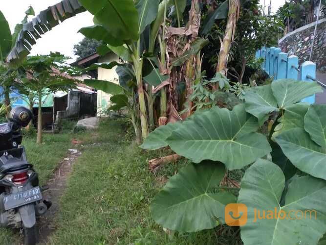 Tanah Beserta Kontrakan Murah Di Loji, Bogor