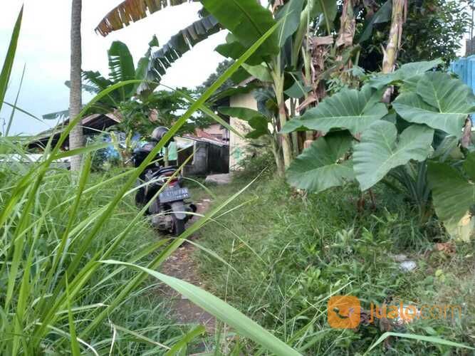 Tanah Beserta Kontrakan Murah Di Loji, Bogor