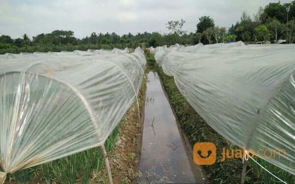 Plastik Sungkup Bening (Per Kg) Untuk Tanaman, Murah Dan Ekonomis