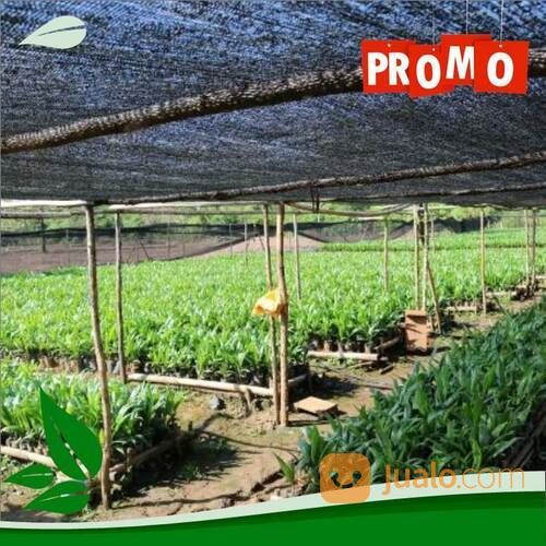 Paranet Termurah Dan Berkualitas