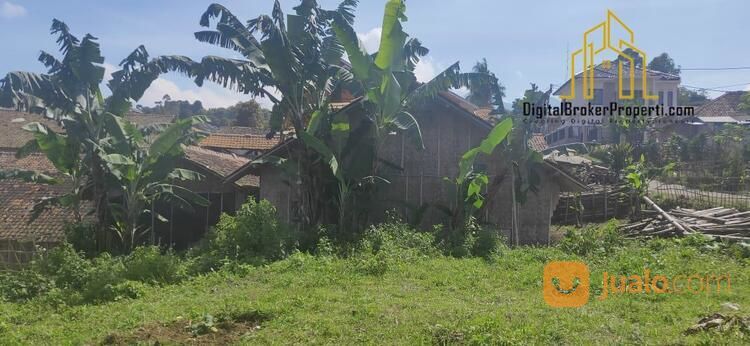 Tanah Matang Exs Budidaya Jamur Pinggir Jalan Desa Pari Cisarua Bandung Barat | DIANELSA