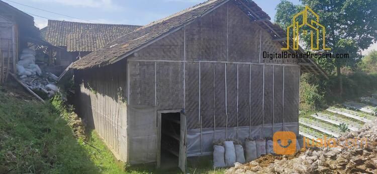 Tanah Matang Exs Budidaya Jamur Pinggir Jalan Desa Pari Cisarua Bandung Barat | DIANELSA