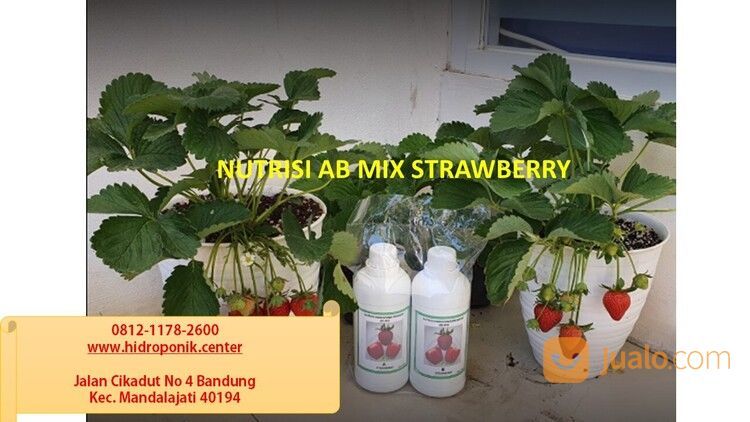 HARGA PABRIK, WA 0812-1178-2600, Toko Nutrisi Hidroponik Terdekat Kota Bandung