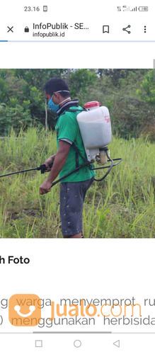 Jasa Semprot Racun Rumput Liar Wa 0895340995719