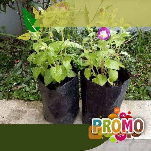 Polybag Kantong Plastik Tanaman Harga Terjangkau