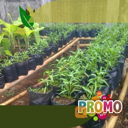 Polybag Kantong Plastik Tanaman Harga Terjangkau