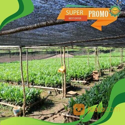 Paranet Untuk Greenhouse Dan Lapangan Kualitas Terbaik