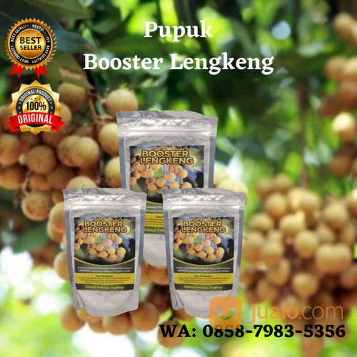 WA; 0858-7983-5356, Pupuk Booster Kelengkeng Kota Madiun