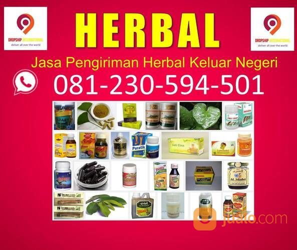 WA : 081 230 594 501, Jasa Pengiriman Hewan