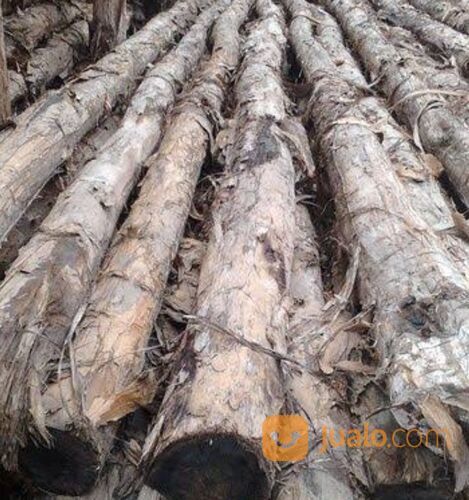 Depot Kayu Gelam Dan Papan Cor