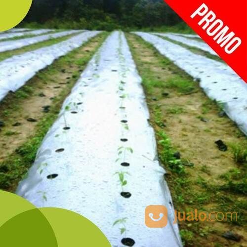 Sedia Mulsa Plastik Penutup Lahan Budidaya