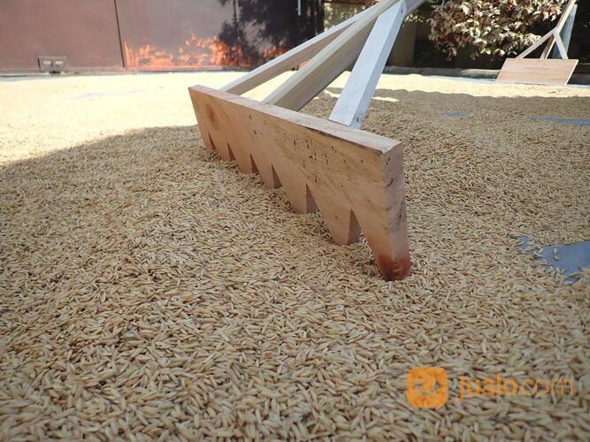 Garukan Padi Sorokan Padi Alat Jemur Padi Kopi Set