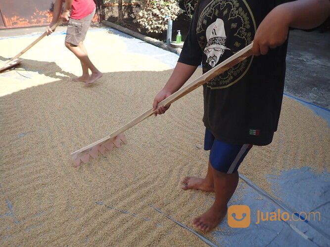 Garukan Padi Sorokan Padi Alat Jemur Padi Kopi Set