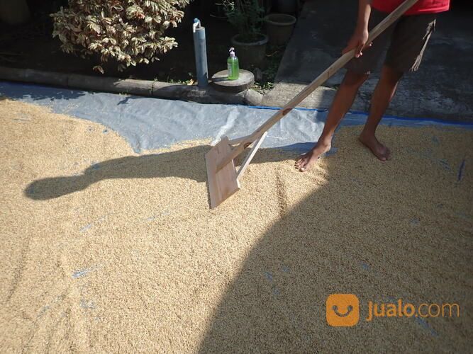 Garukan Padi Sorokan Padi Alat Jemur Padi Kopi Set