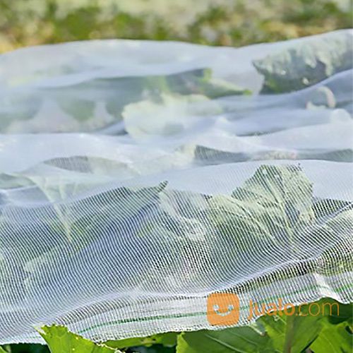 Murah, Insect Net/Jaring Anti Serangga Untuk Tanaman