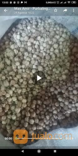 Harga Kapulaga Kering Terbaru Harga Grosir Bisa Nego