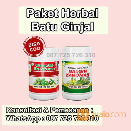 Obat Gagal Ginjal Bocor Bengak Kencing Berbuih Berbusa Batu Spesialis Ginjal Herbal