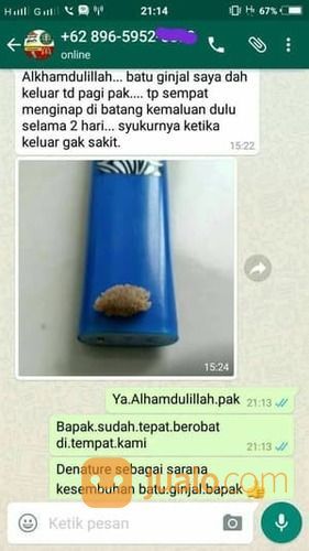 Obat Gagal Ginjal Bocor Bengak Kencing Berbuih Berbusa Batu Spesialis Ginjal Herbal