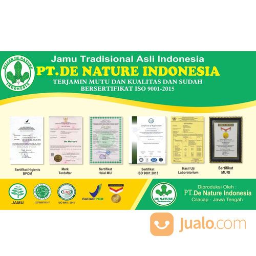 Obat Gagal Ginjal Bocor Bengak Kencing Berbuih Berbusa Batu Spesialis Ginjal Herbal