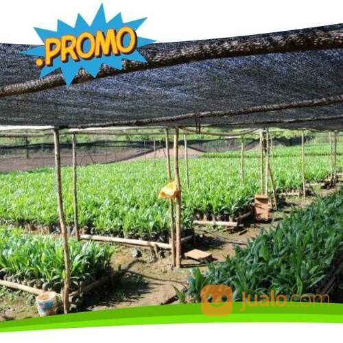 Paranet Kualitas Terbaik Bisa Untuk Greenhouse Dan Lapangan