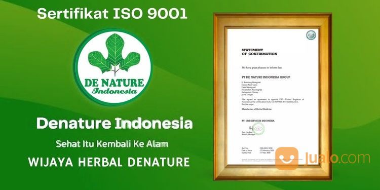 Gang Jie + Gho Siah Obat Sipilis Atau Gonore Herbal De Nature 100% Manjur Tanpa Efek Samping