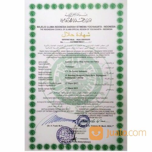 Nama Obat Tipes Alami Paling Ampuh Di Apotik Sembuh Tanpa Efek Samping