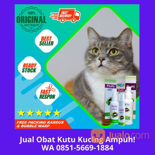 FREE ONGKIR!! WA 0851-5669-1884, Pusat Obat Herbal Kutu Kucing Di Depok
