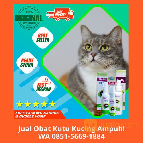 FREE ONGKIR!! WA 0851-5669-1884, Pusat Obat Herbal Kutu Kucing Di Depok