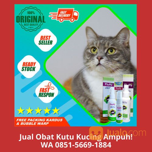 FREE ONGKIR!! WA 0851-5669-1884, Pusat Obat Herbal Kutu Kucing Di Depok