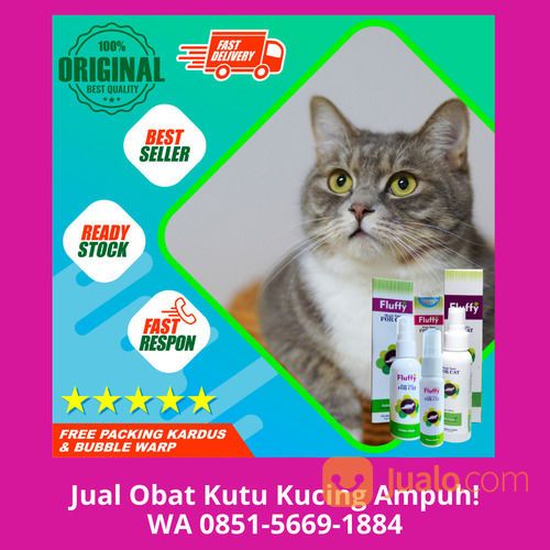 FREE ONGKIR!! WA 0851-5669-1884, Pusat Obat Herbal Kutu Kucing Di Depok