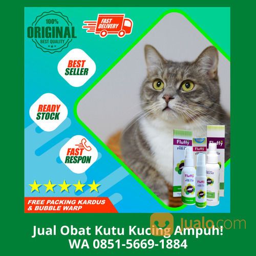 FREE ONGKIR!! WA 0851-5669-1884, Pusat Obat Herbal Kutu Kucing Di Depok
