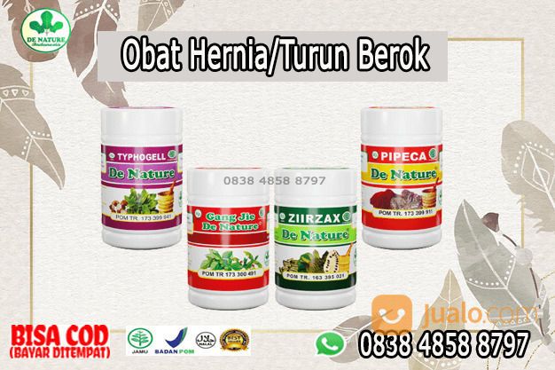 (BISA COD) Obat Usus Turun Tradisional Di Apotik - Herbal De Nature ORIGINAL